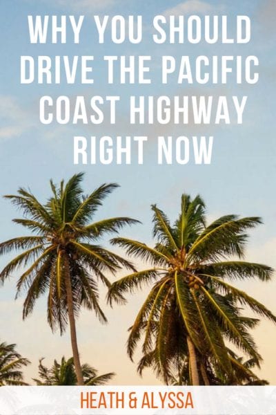 Beaches, wildlife, forests, stunning views. Here's why driving the Pacific Coast Highway will make this the best summer ever.