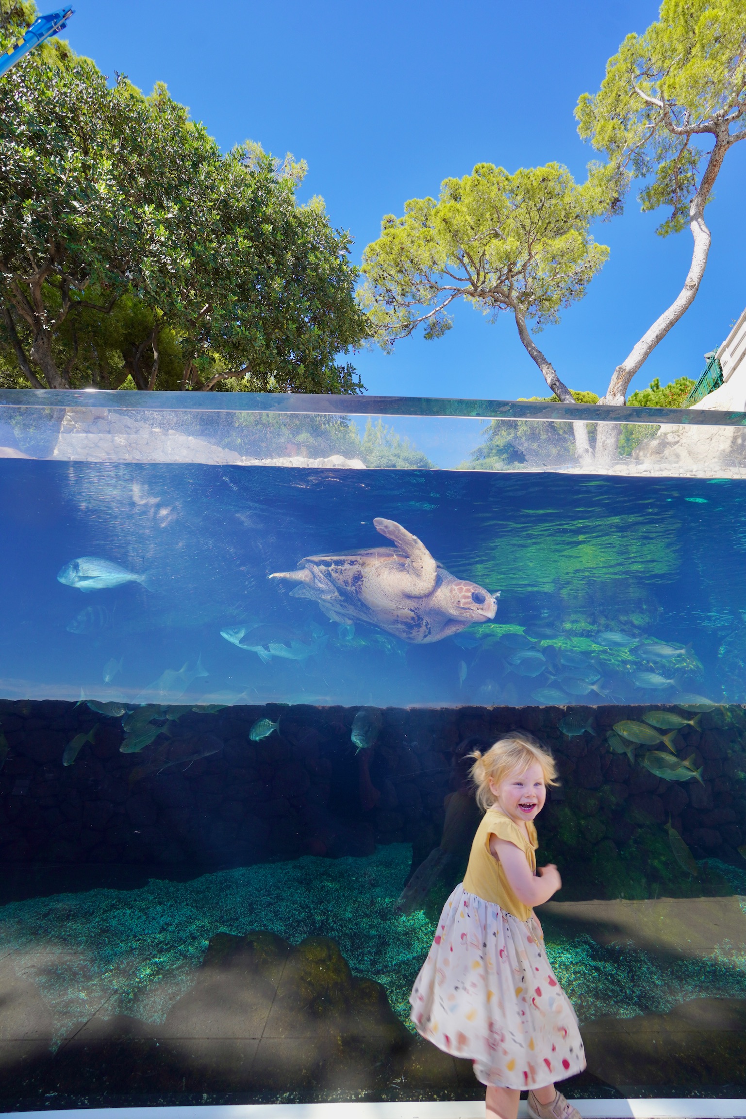 Picture of monaco aquarium kid-friendly - Heath & Alyssa